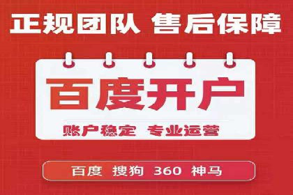 某电商平台的SEM推广实践与效果展示