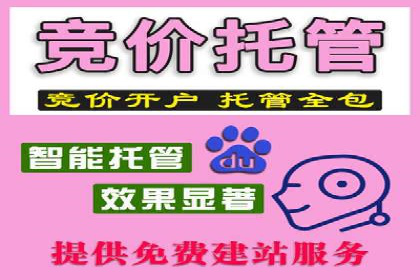百度SEM代运营的优化策略与实战技巧分享
